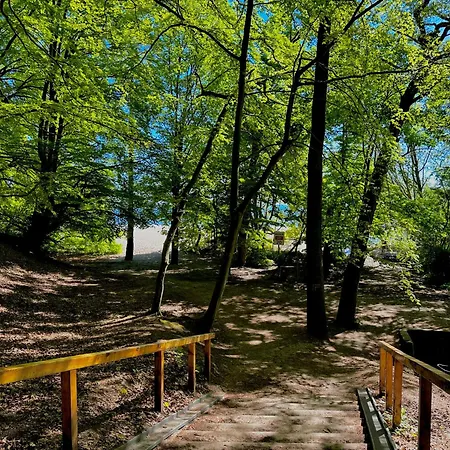 Apartment Apartament Forest & Sea