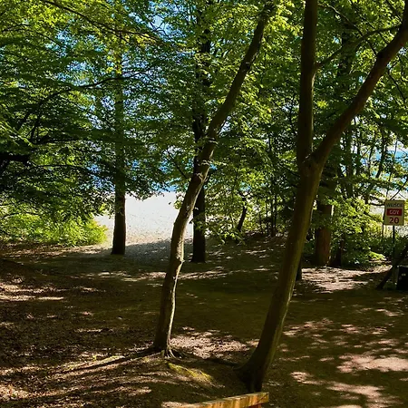 Apartament Forest & Sea Gdynia